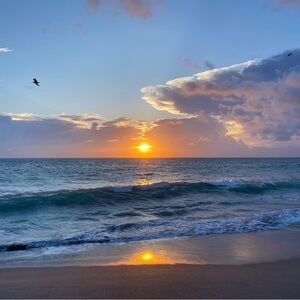 Meet your Posher, Posh